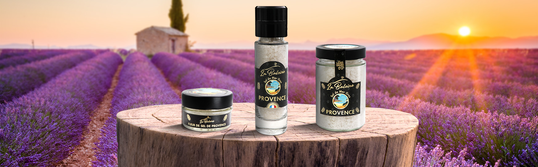 sel de provence