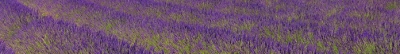 bandeau provence